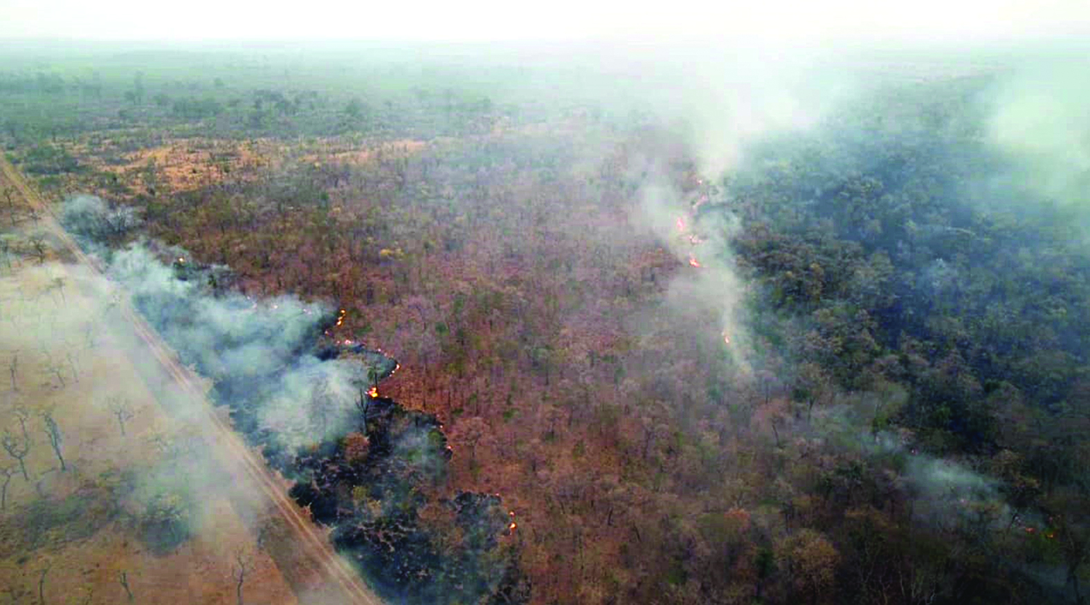 Em seis dias, incêndios quase dobram em relação ao mês de setembro de 2023