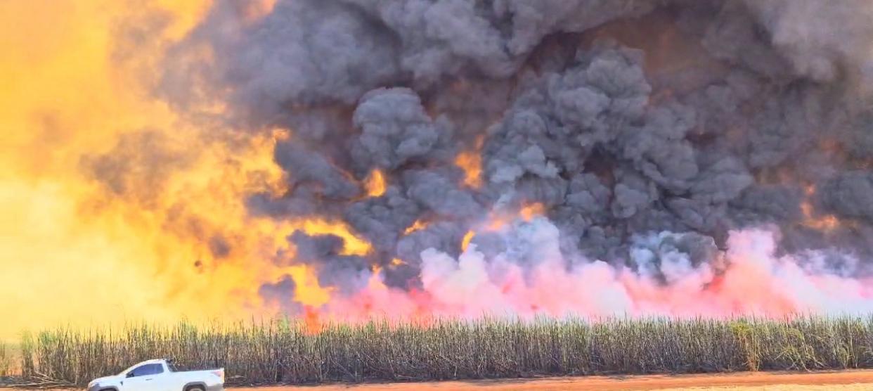 Vídeo: fogo se alastra rapidamente em plantação de cana em Chapadão do Sul