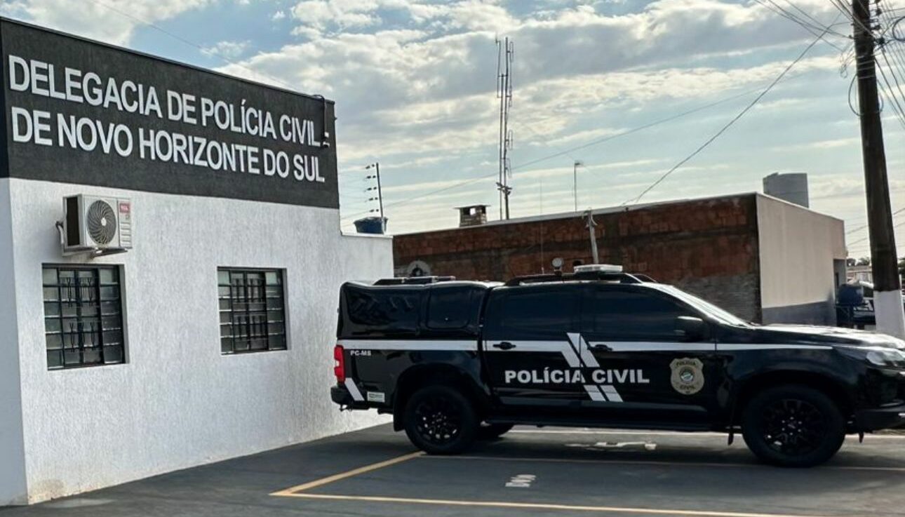 Polícia Civil Novo Horizonte do Sul'