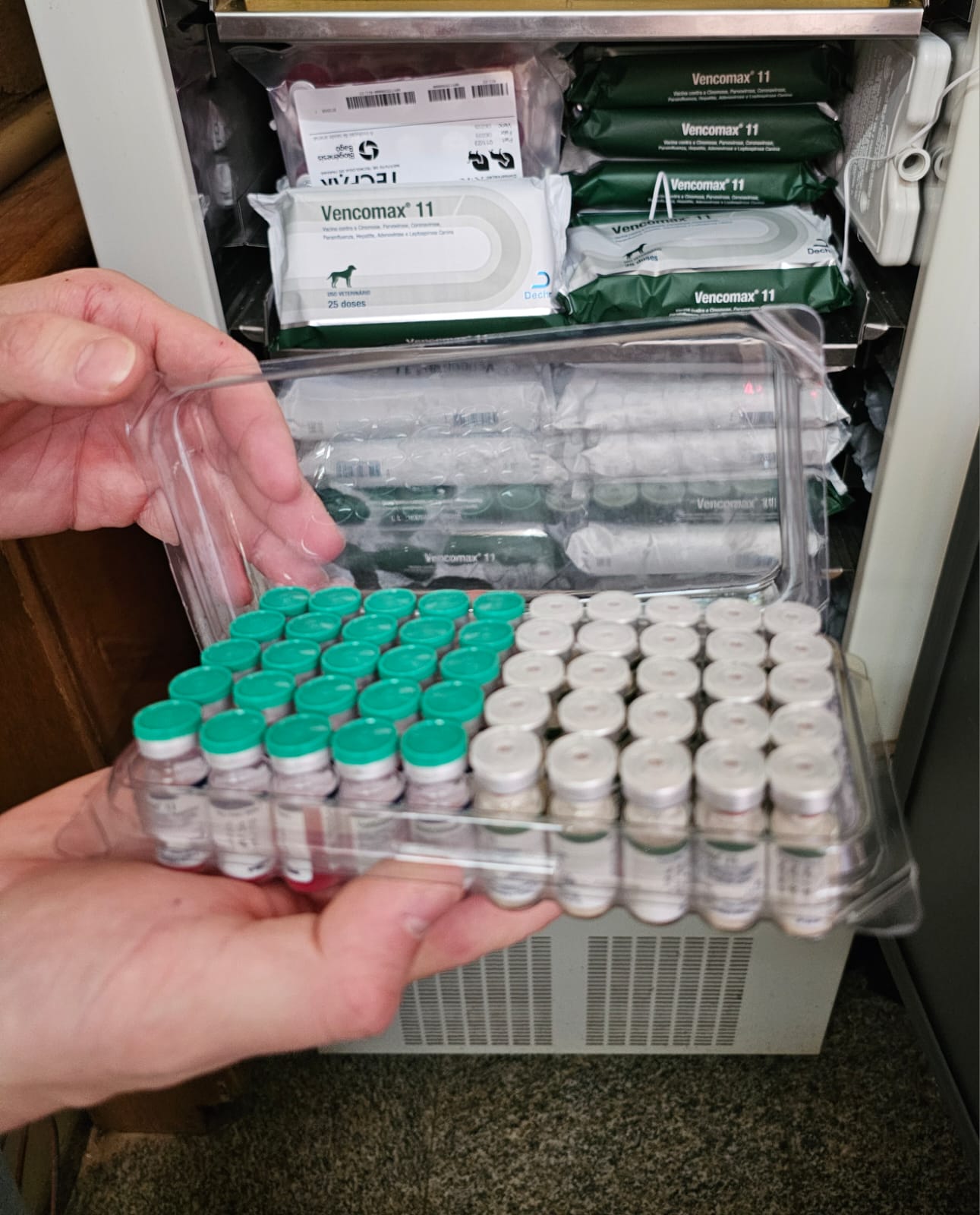 Foto: divulgação prefeitura de CG