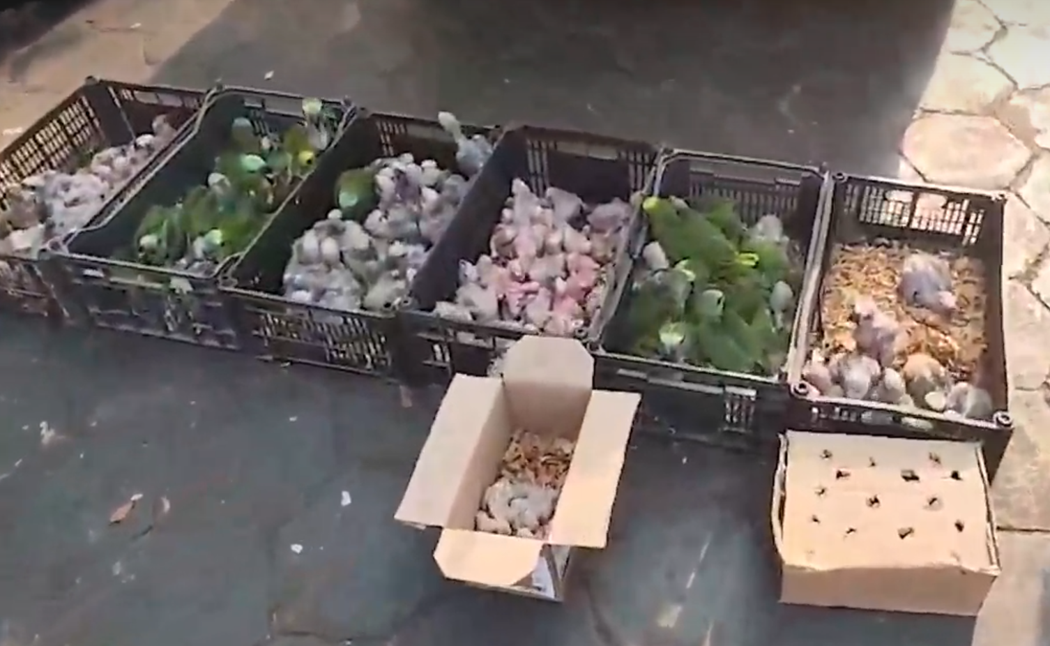 Foto: Polícia Militar Rodoviária