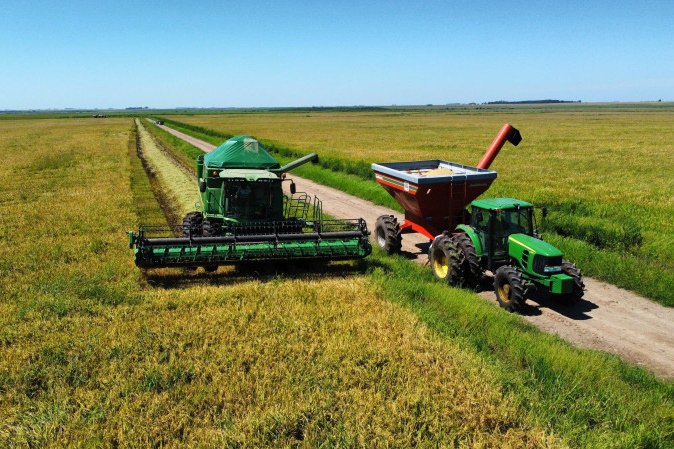 Foto: Cleiton Ramão/IRGA