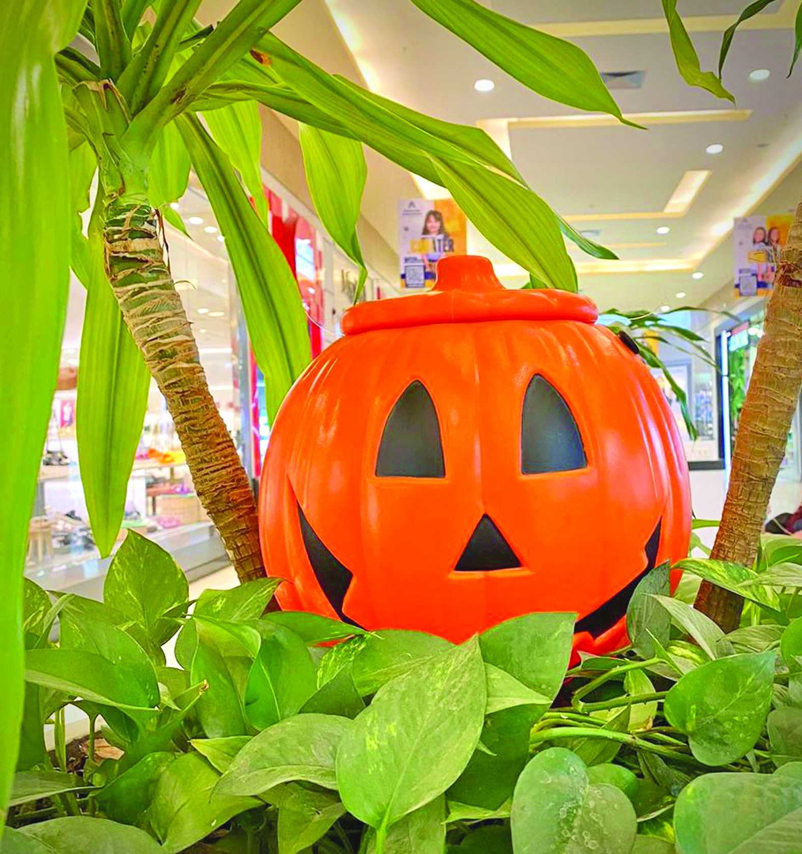 Halloween do Norte e Sul - Foto: divulgação