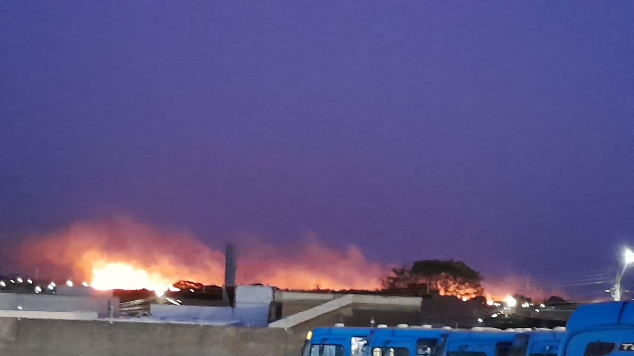 Incêndio de grande proporção atinge terreno no bairro Zé Pereira em Campo Grande