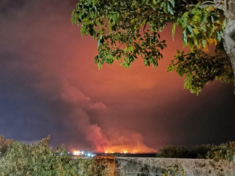 Operação da Polícia Federal combate grilagem e incêndios criminosos no Pantanal