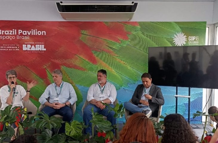 Foto: Arquivo pessoal