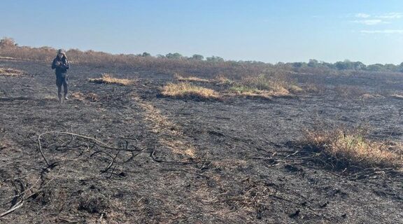 Família que ateou fogo em área do Pantanal vira alvo de Operação da Polícia Federal