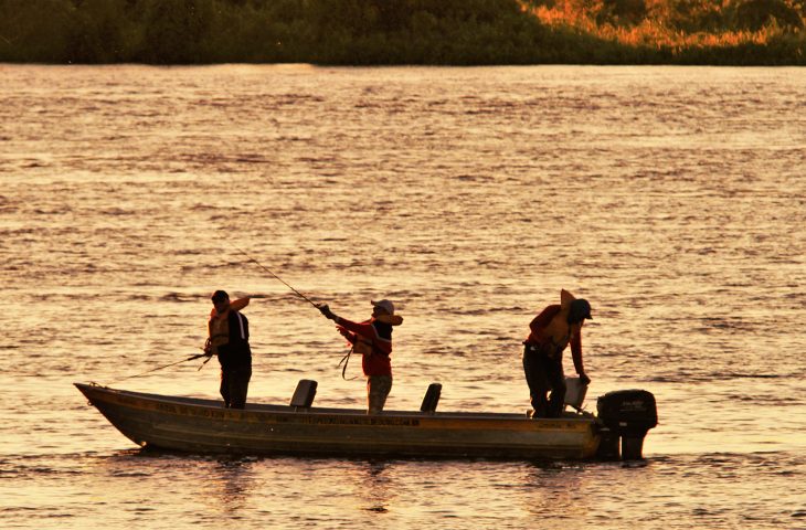 “Pesque e solte” é liberado no rio Paraguai a partir deste sábado (1º)