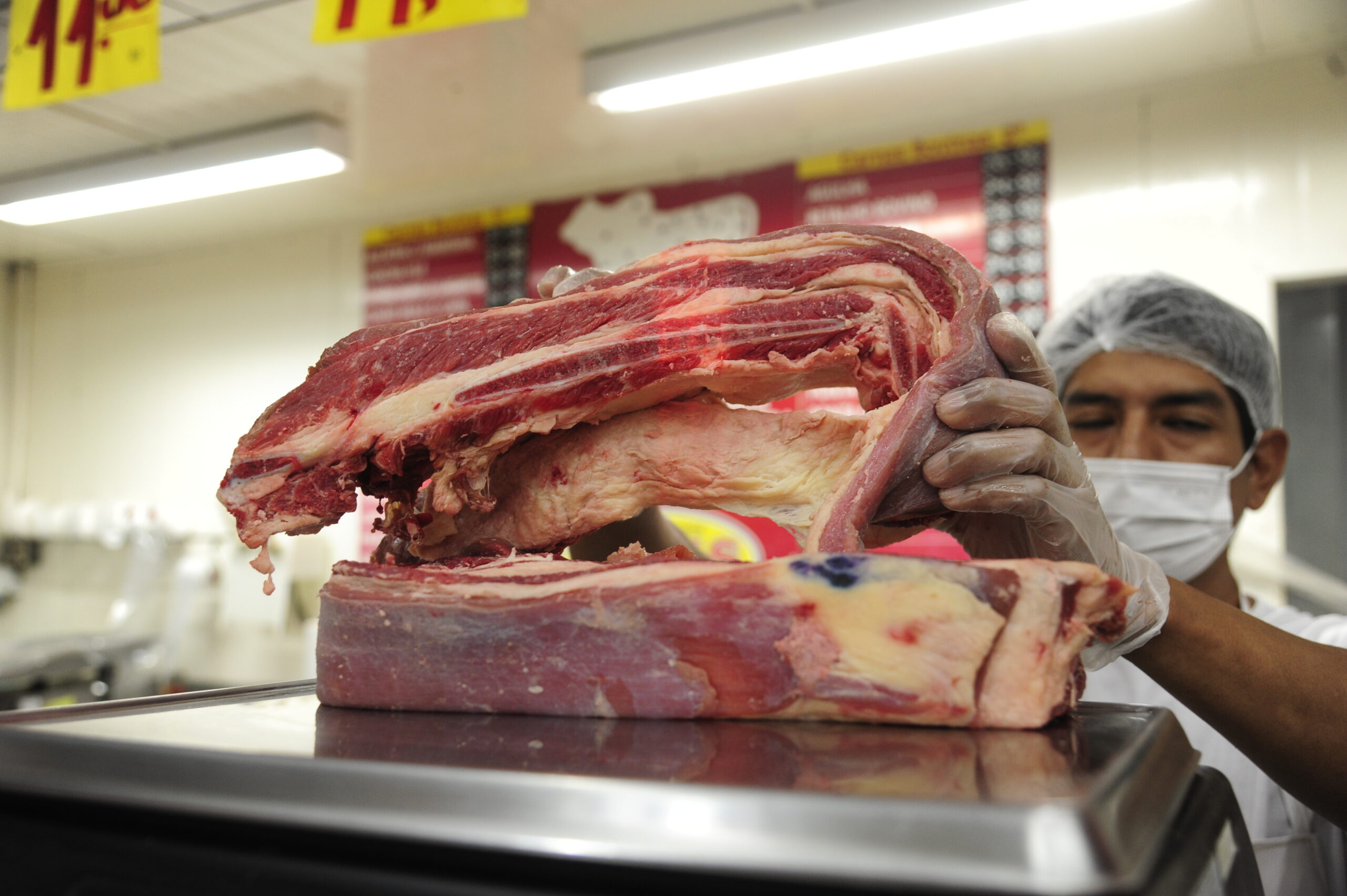 FOTO: NILSON FIGUEIREDO