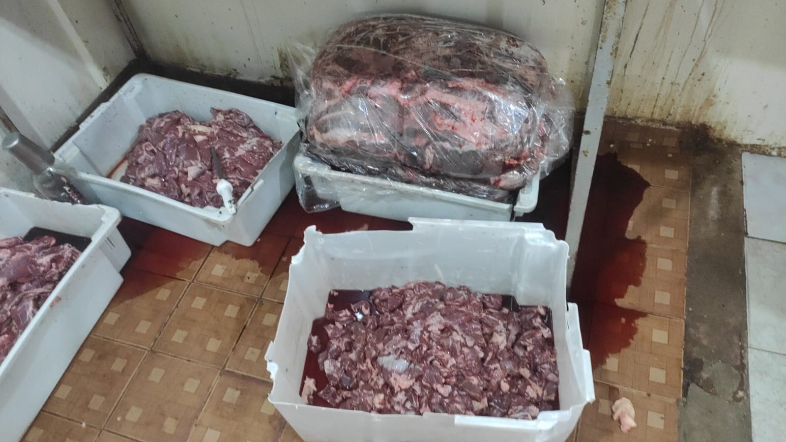 Dono de espetaria clandestina na Moreninha é preso em flagrante; carne ficava entre moscas e baratas