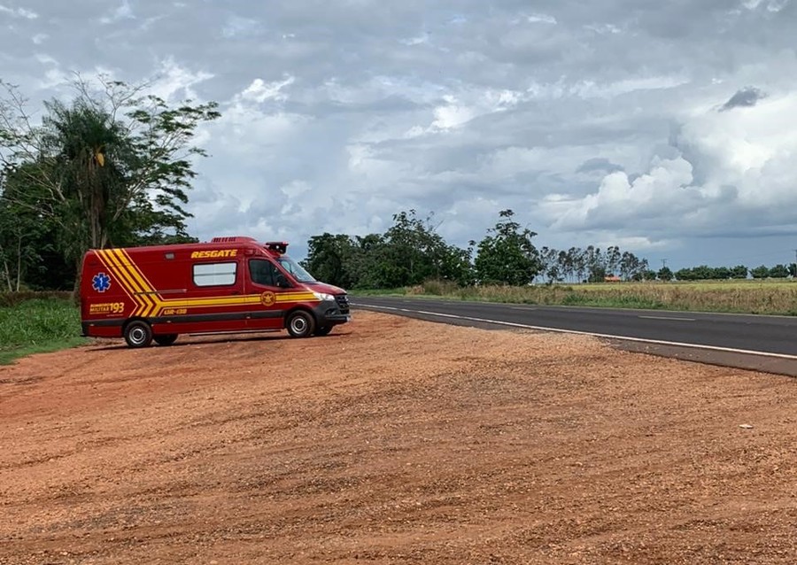 Homem morre após fugir da PRF e ser atacado por enxame de abelhas