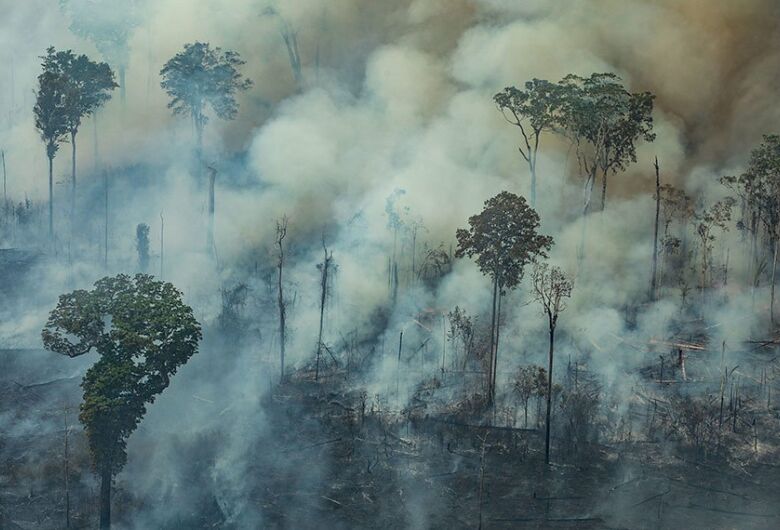 Foto: Victor Moriyama/Greenpeace