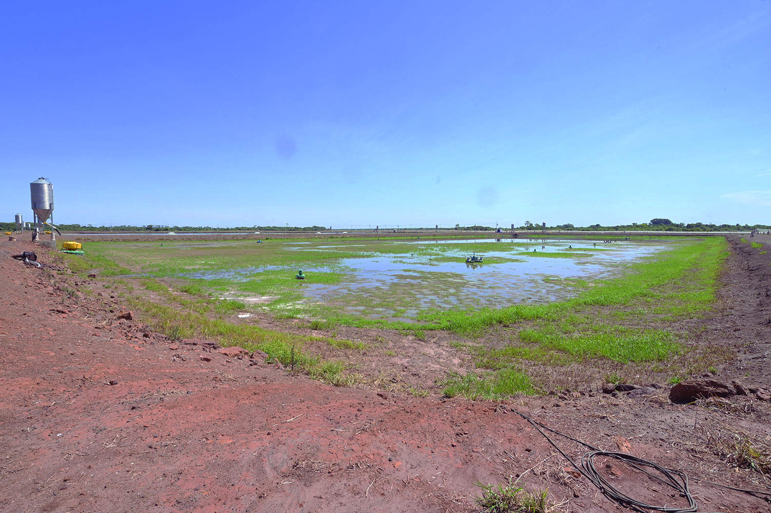 Piscicultura em Itaporã enfrenta crise ambiental e econômica sem precedentes