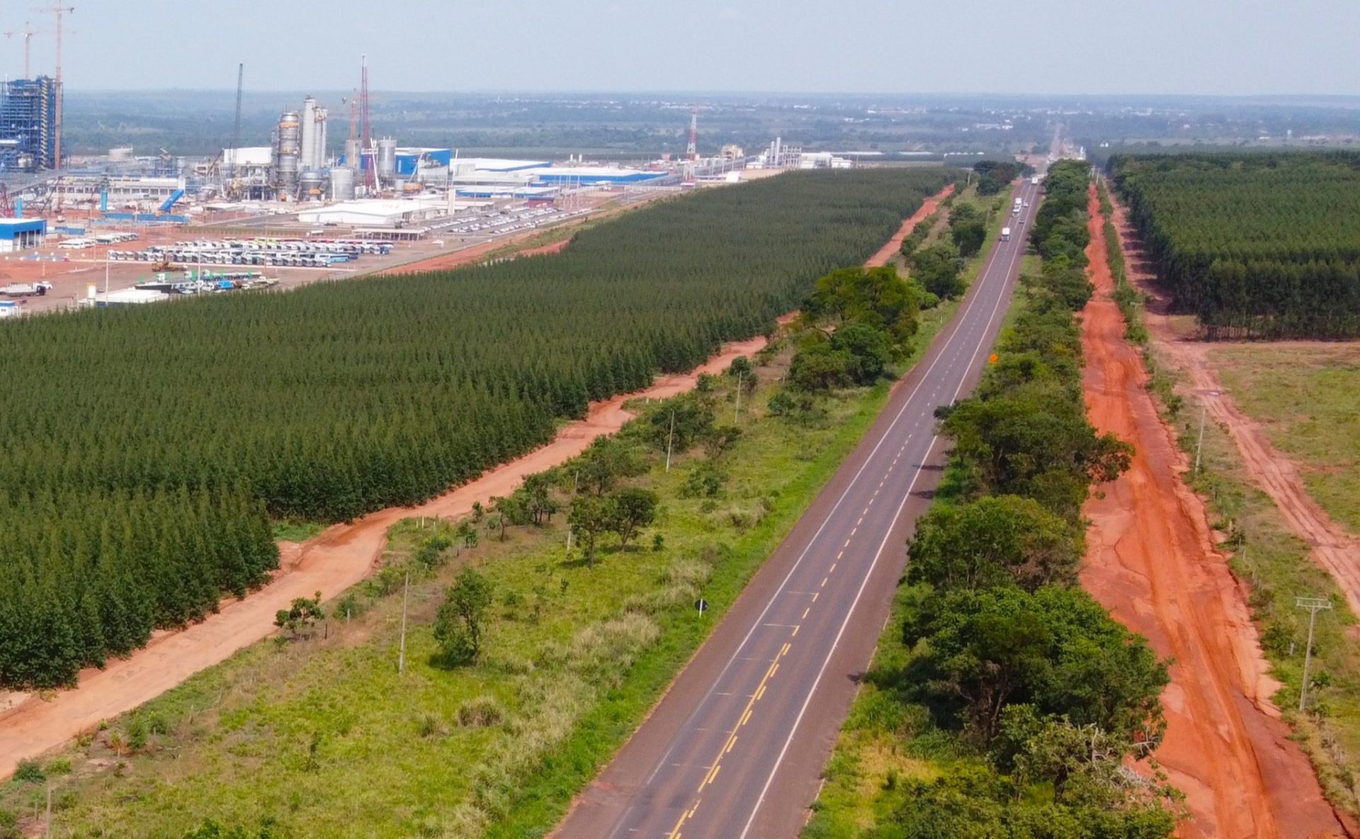 Rota da Celulose volta ao mercado com expectativa de impulsionar a logística regional