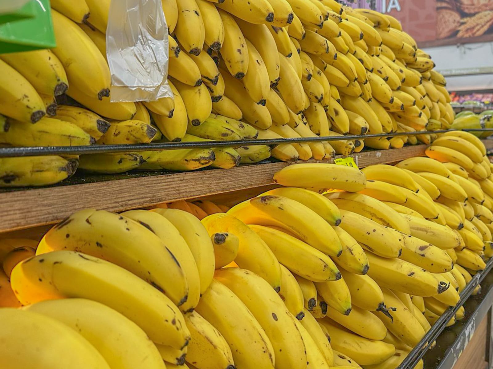 De fruta popular a luxo: preço da banana chega a R$ 8,99 em Campo Grande