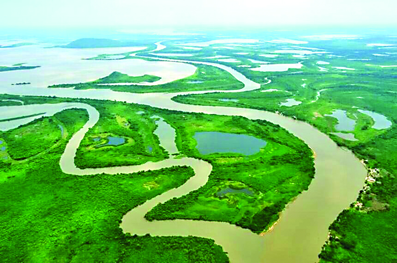 Senado votará proposta que transforma Pantanal em Patrimônio Nacional