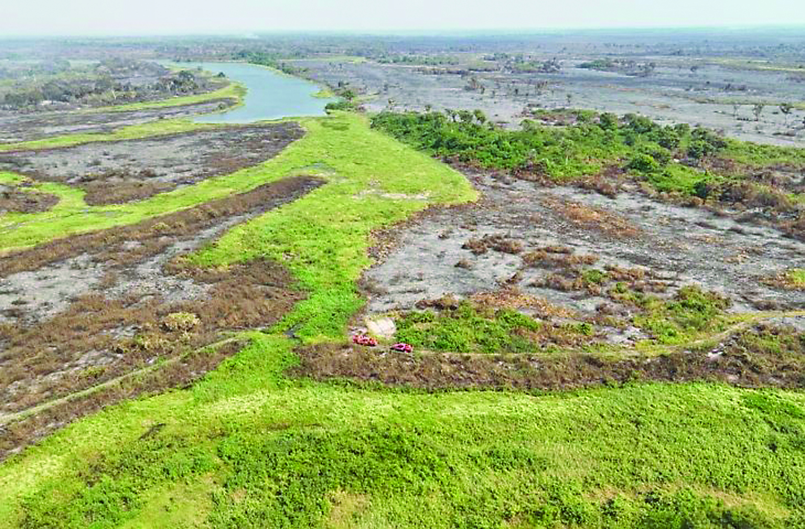 “O Pantanal ‘perdeu’ mais água que os demais biomas em grande parte porque é o que mais alaga”