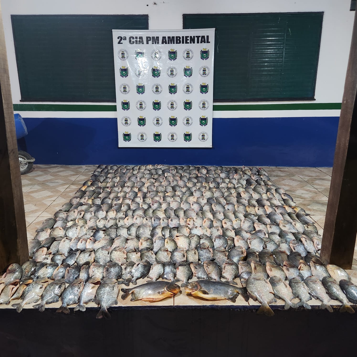 Casal é multado e tem barco apreendido por transporte de pescado irregular no Rio Paraguai