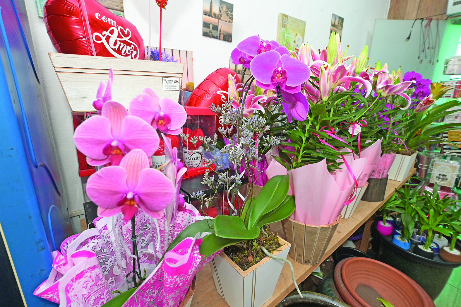 Floriculturas se desdobram para atender demanda explosiva e enfrentam alta de até 300% nos insumos