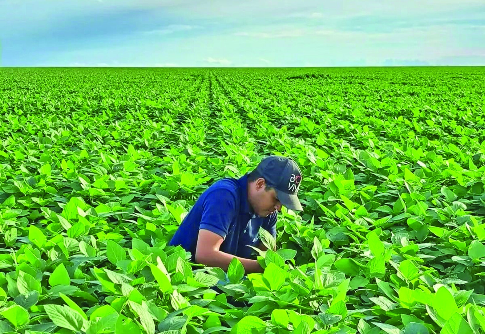 Muito além do valor da produção, agronegócio é responsável pela geração de empregos em MS