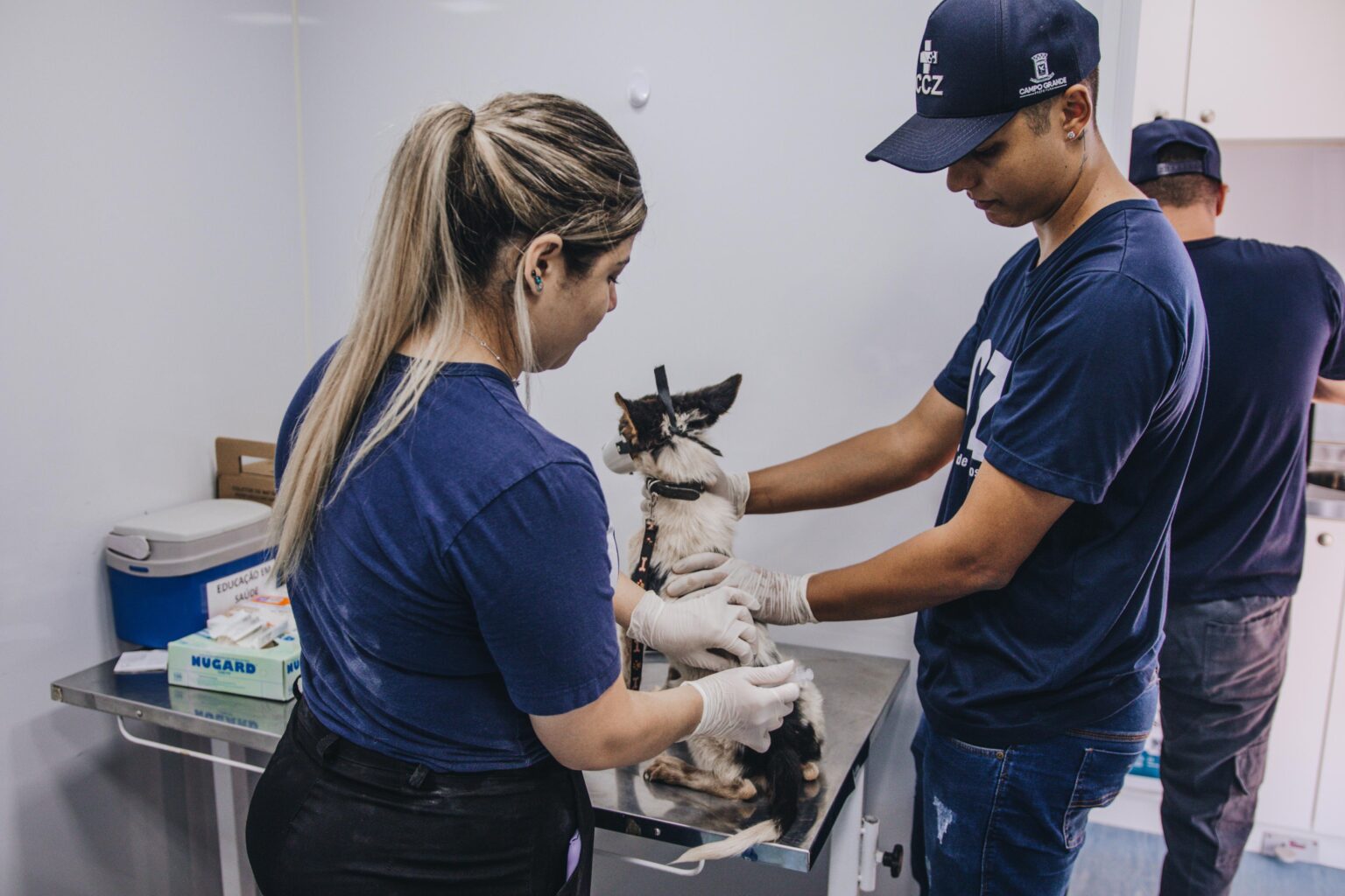 Foto: Rafael Benjamin/SESAU