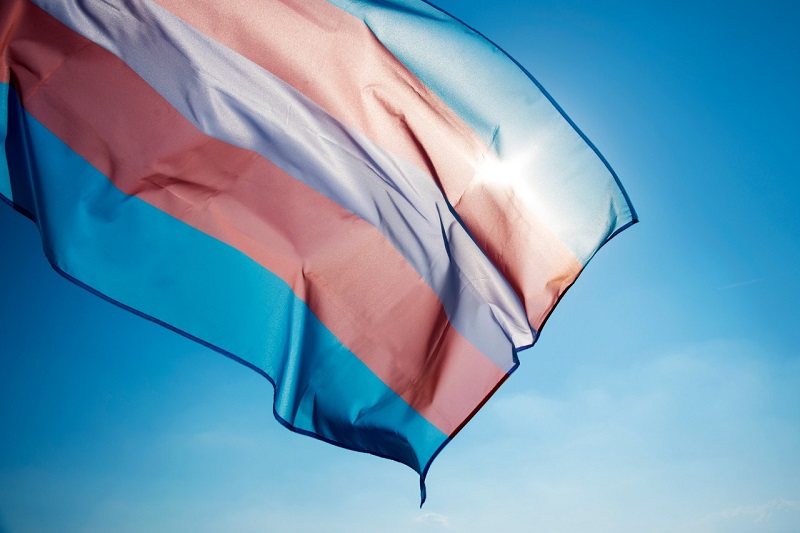 População trans poderá fazer retificação de nome e gênero gratuita em projeto