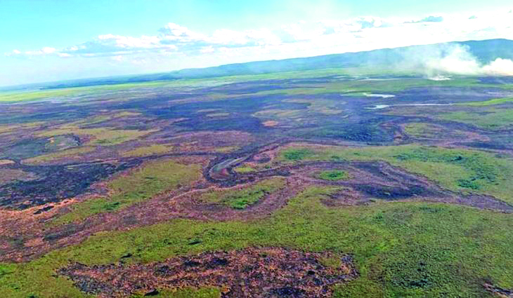 Pantanal foi o bioma onde mais cresceram os registros de incêndios no país