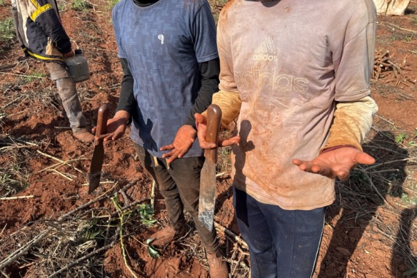 Sete paraguaios são resgatados de trabalho escravo em lavoura de mandioca em Itaquiraí