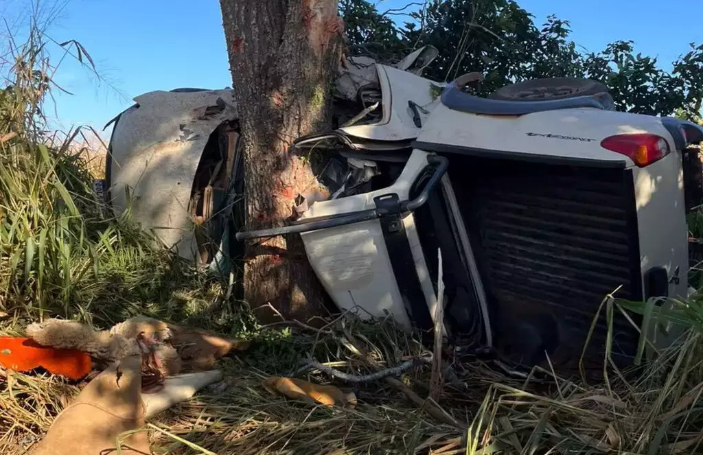Acidente na BR-262 deixa três pessoas mortas e mulher ferida em Miranda