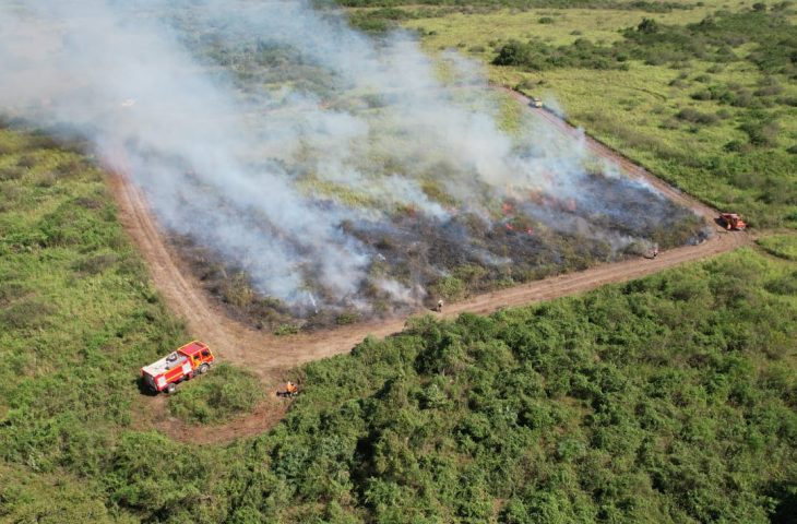 Queima controlada é proibida em MS durante o período seco; Pantanal terá restrição até o fim do ano