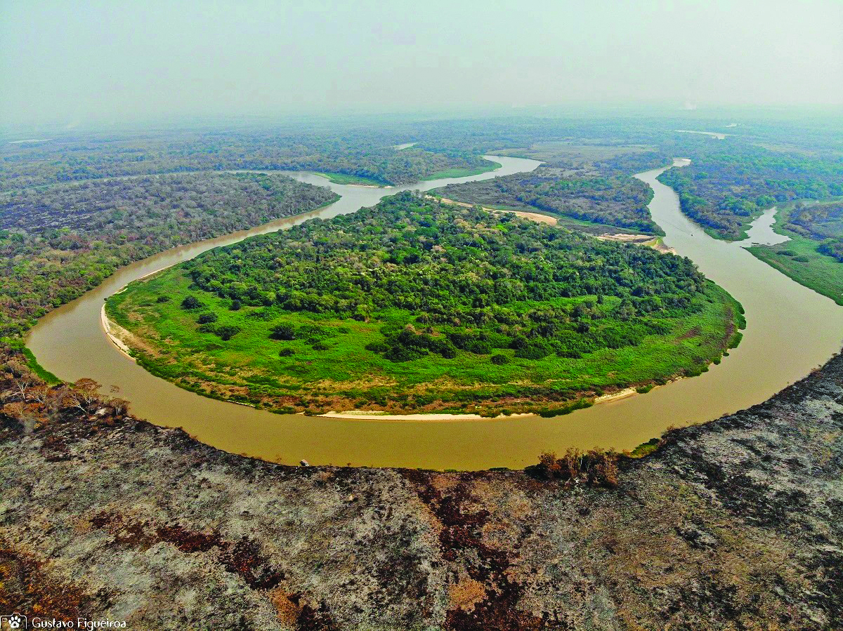 Em quase 40 anos, bioma Pantanal perdeu 73% de sua superfície alagada