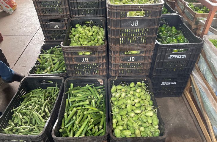 Quiabo mais que dobra de preço na Ceasa/MS e puxa altas da semana