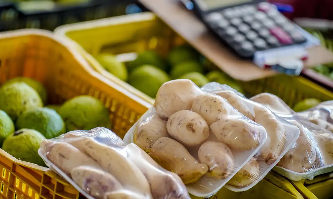 Batata e cebola registram forte queda de preços em julho nas Ceasas, aponta Conab