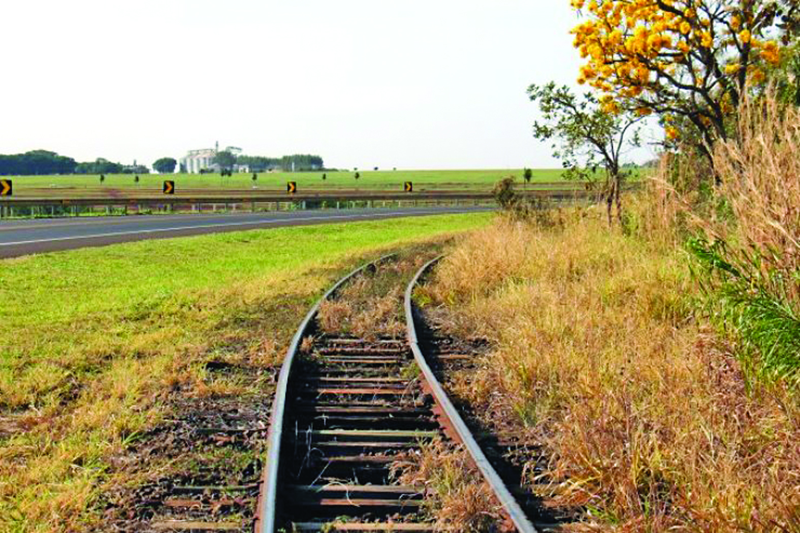 Ferrovia esquecida, futuro em disputa: sociedade pressiona pela reativação da Malha Oeste em MS