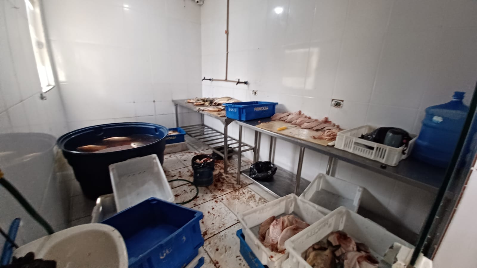 Cerca de três toneladas de alimentos impróprios foram apreendidos em peixaria de Campo Grande