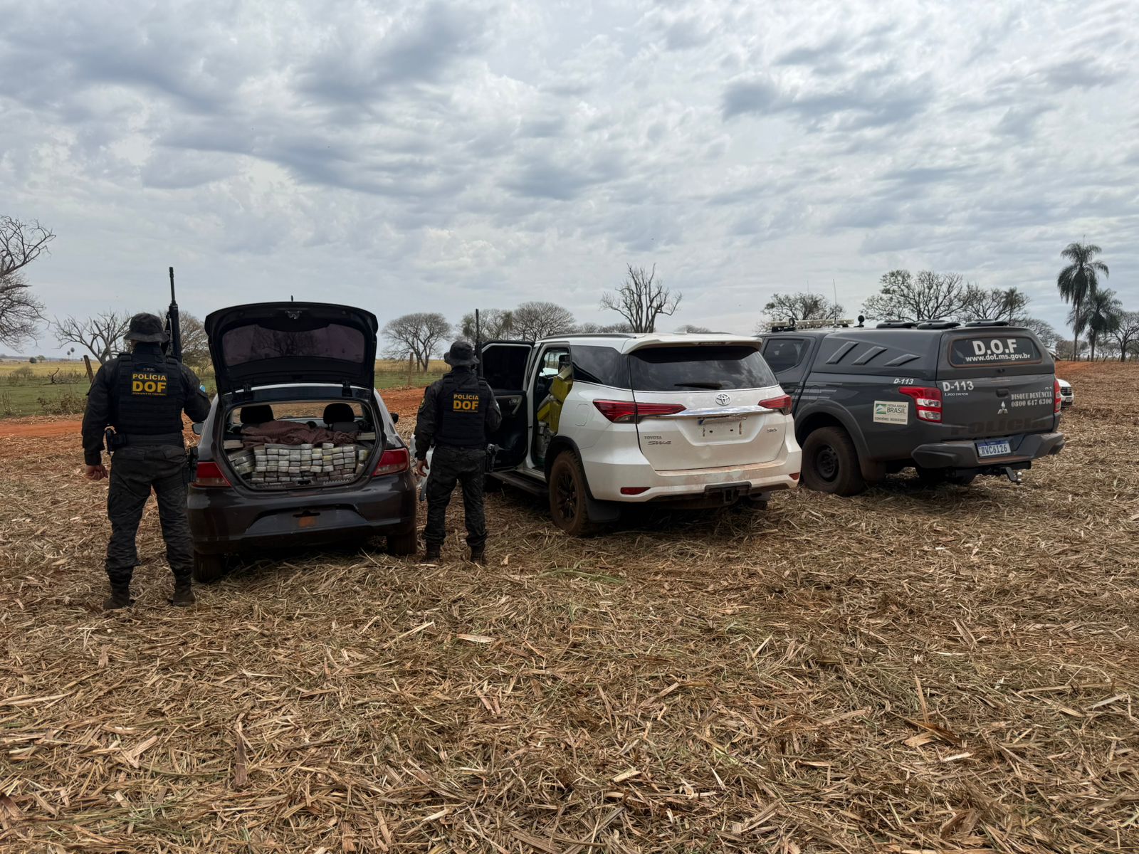 Foto: Divulgação/DOF