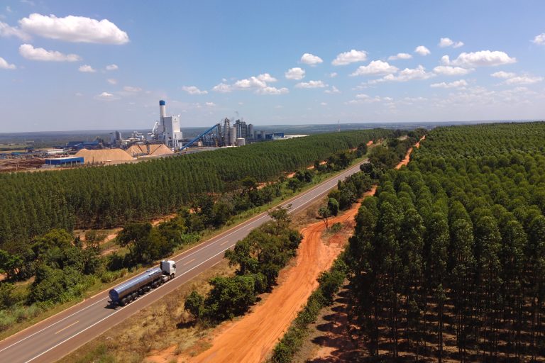 MS mantém alta nas exportações e amplia presença no mercado internacional