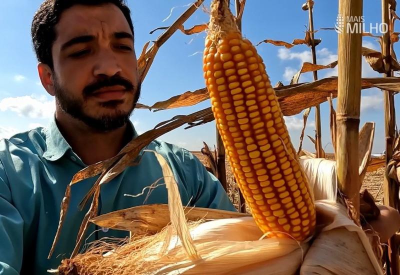 Fazendas de MS recebem avaliação por plataforma de sustentabilidade das propriedades