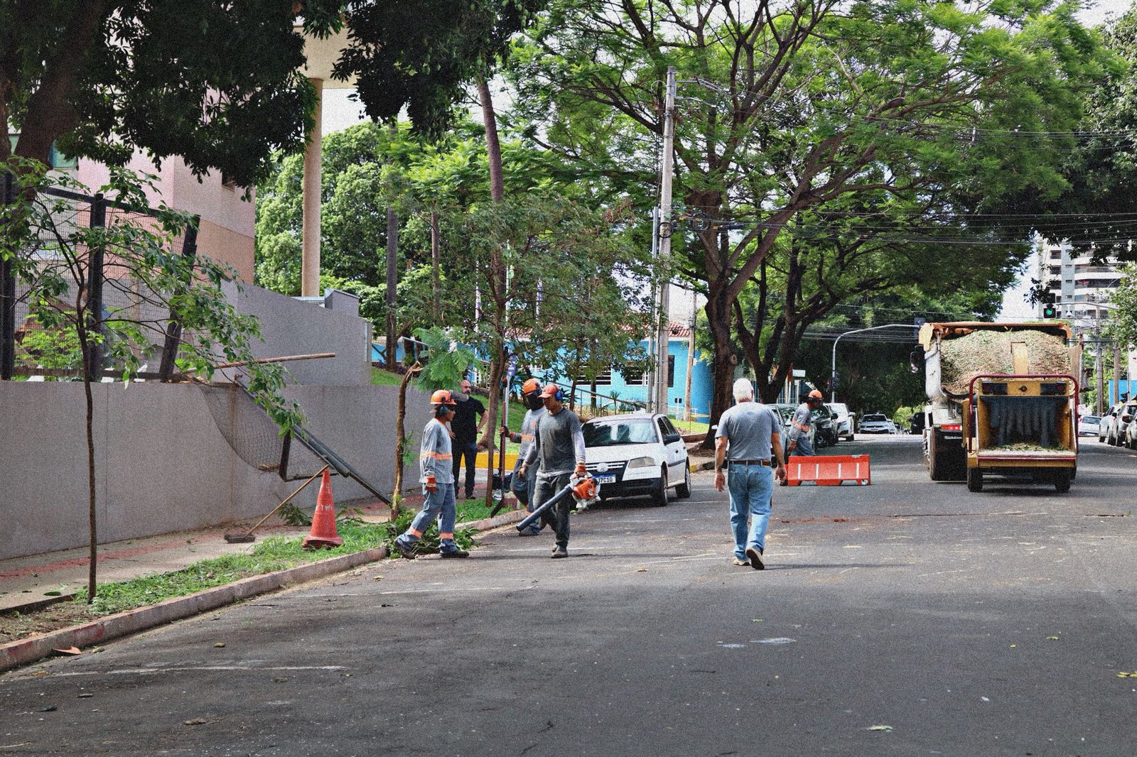 Pé de manga cai e bloqueia trecho da Rua Arthur Jorge no começo da manhã