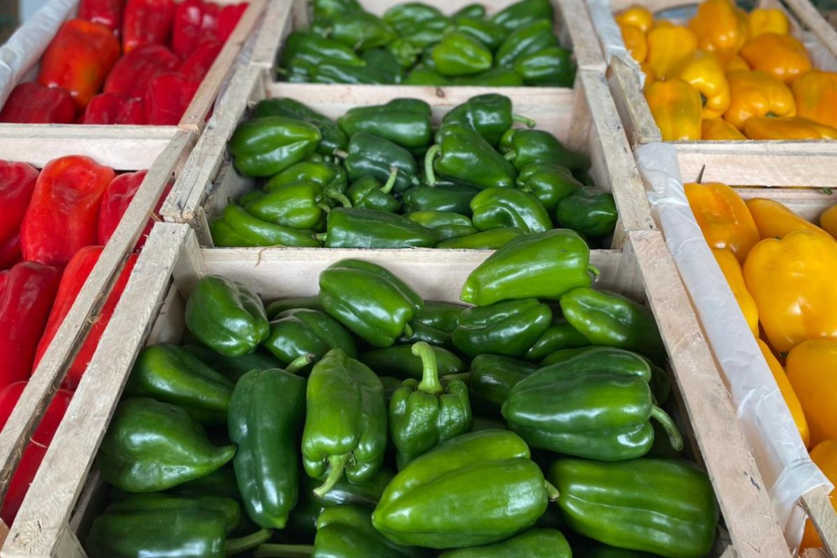 Frutas e hortaliças têm variação de até 20% nos preços na Ceasa/MS