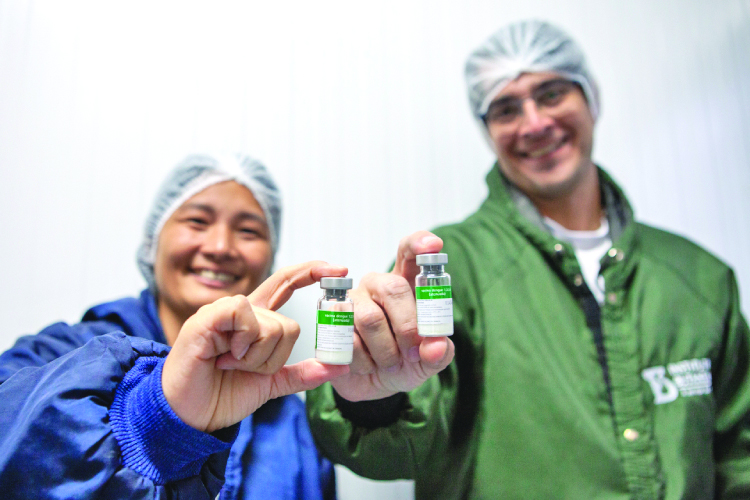 Com 1 milhão de doses em estoque, vacina brasileira contra dengue em dose única é aprovada pela Anvisa