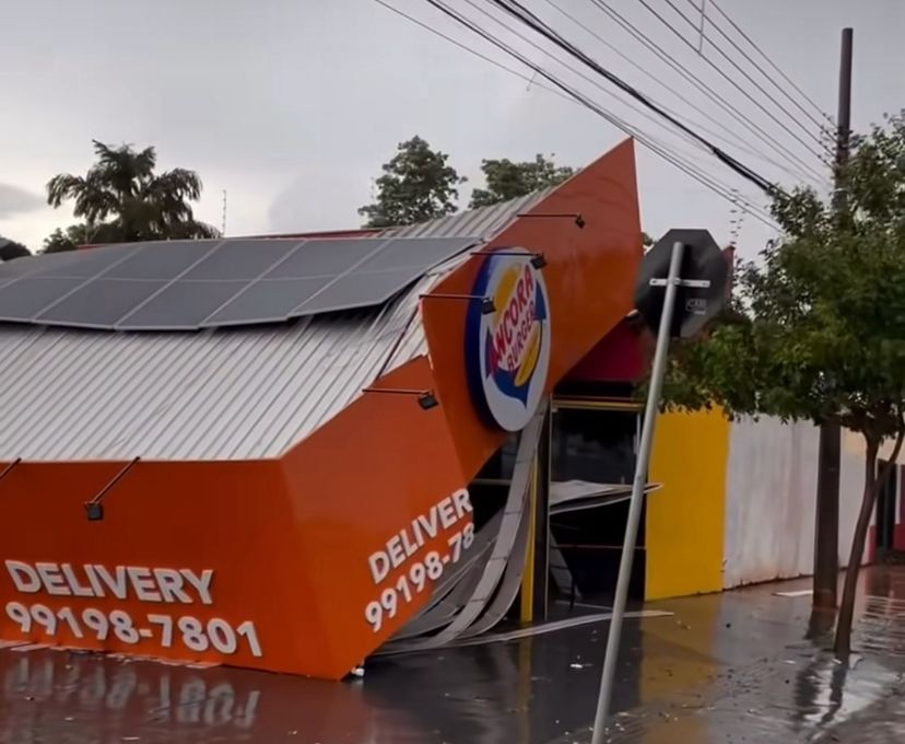 Temporal provoca estragos, derruba árvores e deixa bairros sem energia em Campo Grande