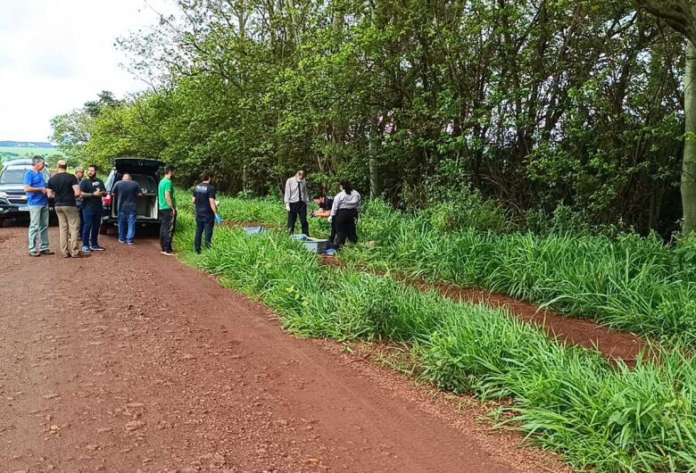 Corpo de padre desaparecido é localizado em área rural de Dourados