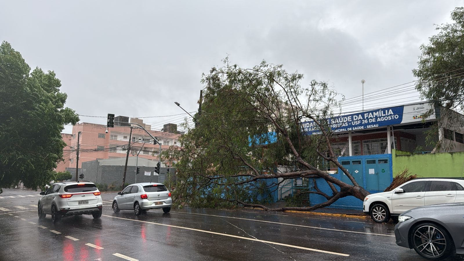 Temporal derruba árvore e deixa USF 26 de Agosto sem energia em Campo Grande