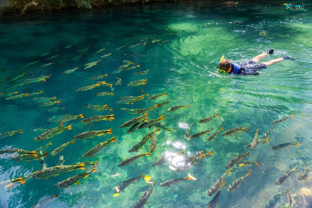 Para reforçar preservação, Bonito passa a cobrar TCA de turistas em dezembro