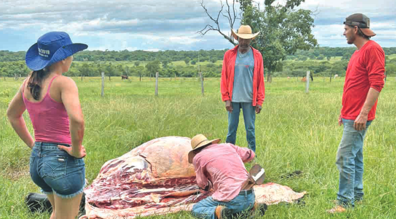Falta de Assistência: Com falta de eletricidade por três dias, moradores do Taboco buscam responsabilizar concessionária