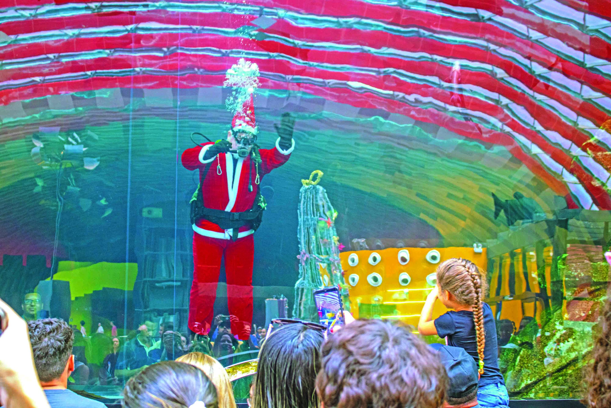 Um Natal debaixo d’água! Papai Noel mergulhador  leva alegria ao Bioparque
