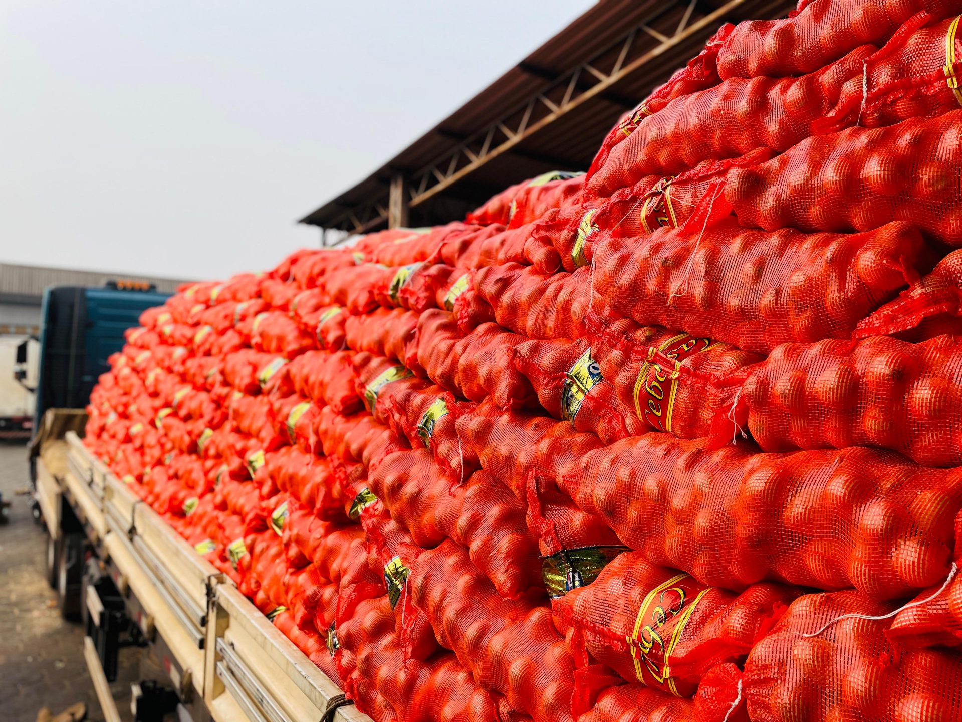 Cebola e batata inglesa puxam altas, enquanto batata-doce e manga ficam mais baratas na Ceasa