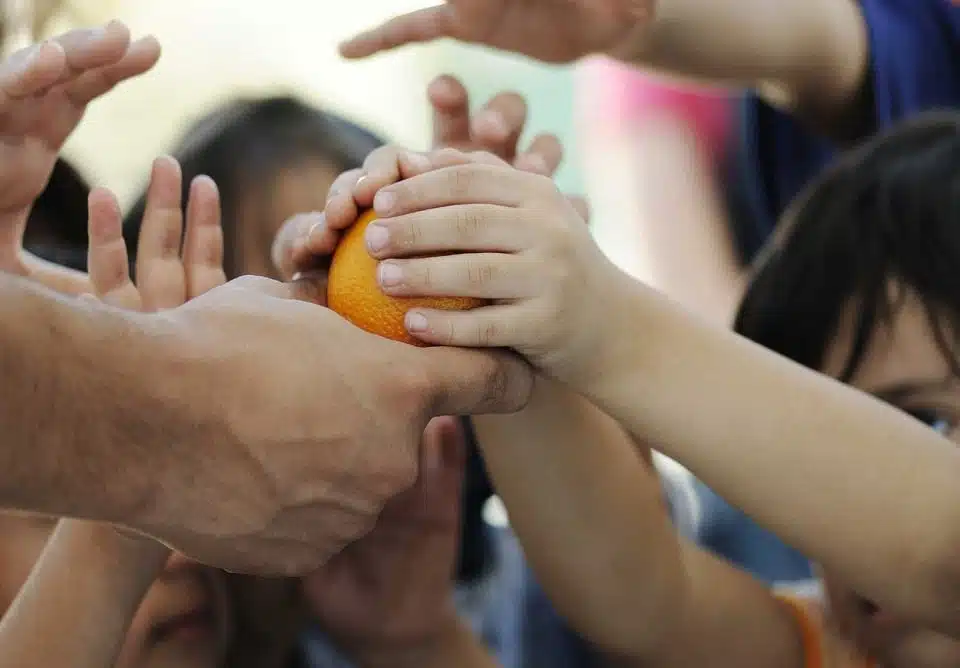 Entidades sem fins lucrativos empregaram 37 mil pessoas em MS em 2023 e ampliaram quadro em 6%