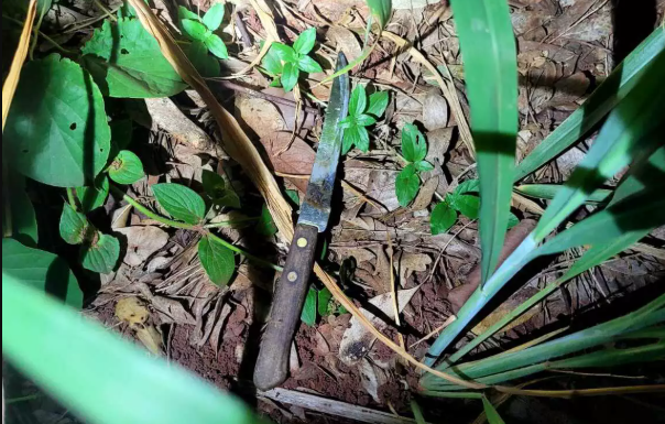 Com uma faca, rapaz arrasta corredora para matagal para estuprá-la e acaba preso no Bairro Universitário
